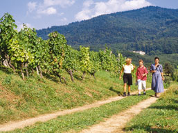 Badenweiler & Umgebung